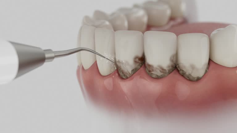 Reliable Dental contractor in McCreary County County, KY by Dentist Open Now